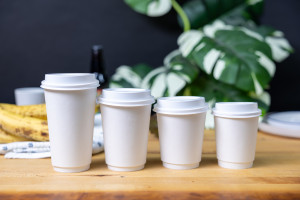Double Wall Cup