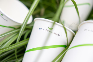EcoVive Compostable Cup